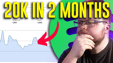 20,000 Spotify Streams in 2 Months || Facebook Ads For Music