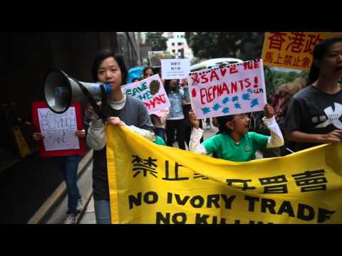 camera iphone 8 plus apk Hong Kong Schoolchildren Lead Ivory Protest