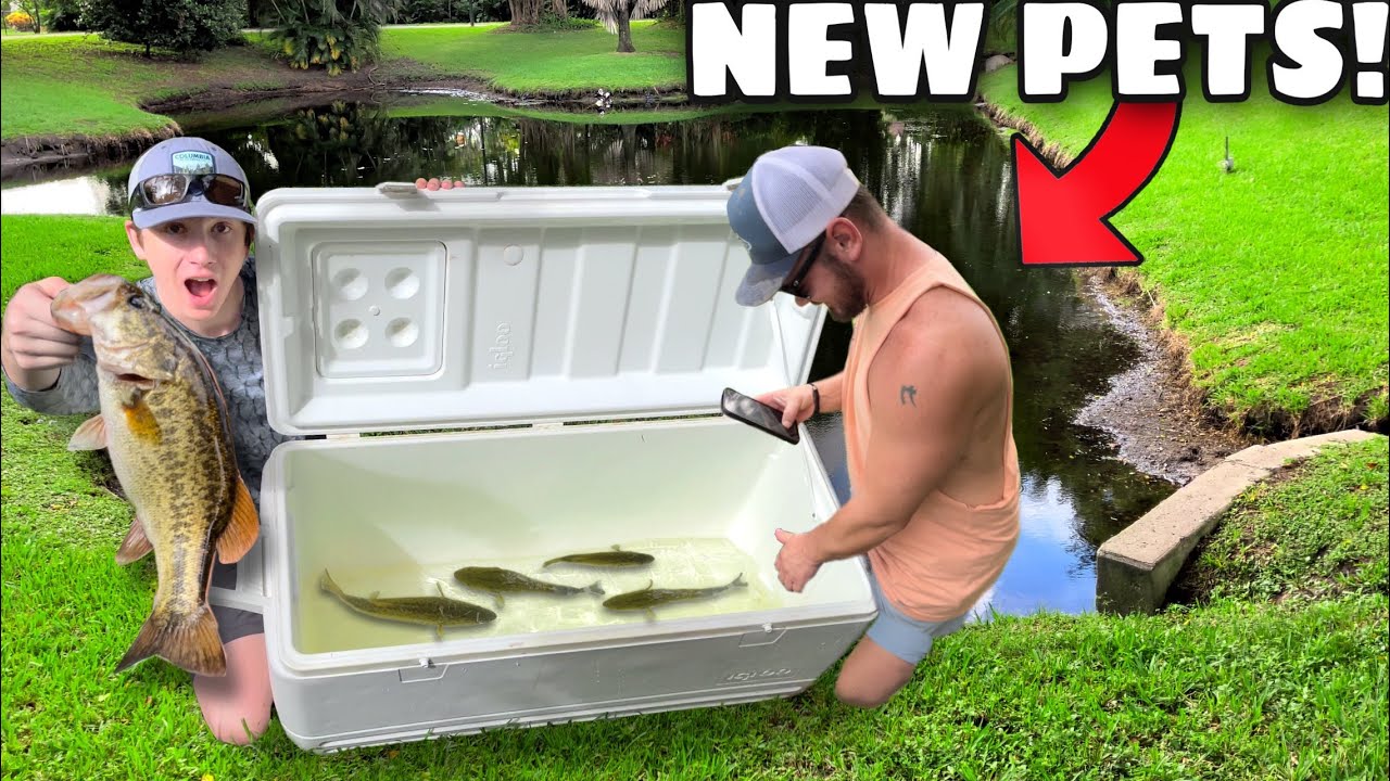 STOCKING My POND with Bass I CAUGHT While FISHING!!