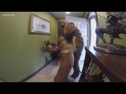 Video: Opozorilo: potencialna nevarnost za pse je že v vašem domu