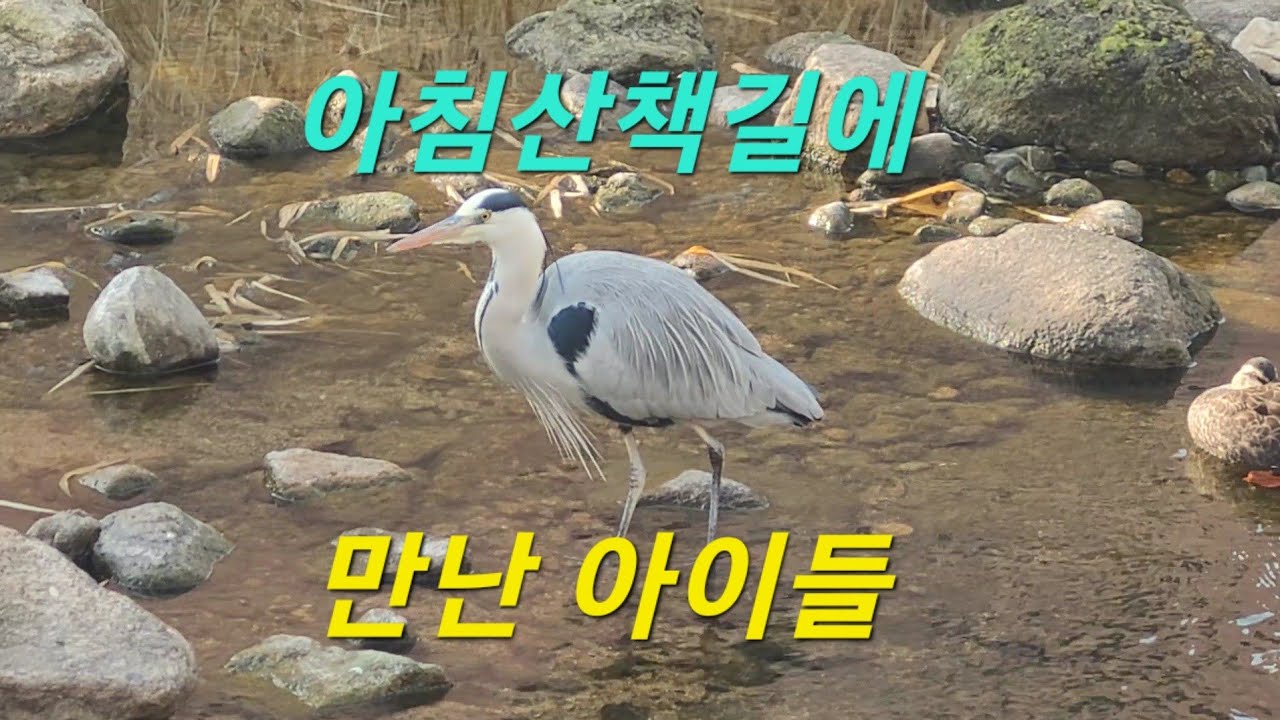 아침산책길에 만난 아이들 