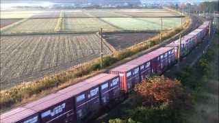 【EF510】【EF81】 北陸本線を走る貨物列車 2014年10月