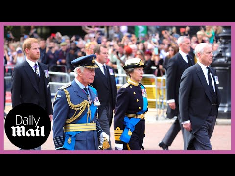 Royals follow queen elizabeth ii's coffin in procession: king charles, prince harry, prince william