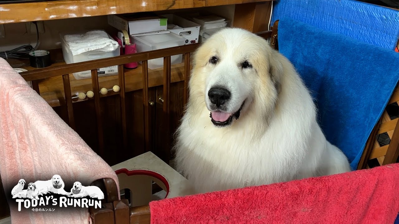 Alan suspects that Lily is the only one eating delicious food