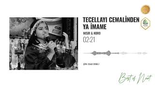 22 Tecellayı Cemalinden - Ya İmame Resimi