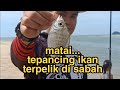 mancing versi felix agus