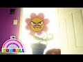 The Amazing World of Gumball | The Flower | Cartoon Network