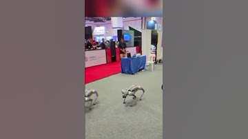 Tech week in Singapore How Robotics and AI Are Transforming the Future