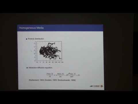 Marco Dentz - Transport Phenomena : Stochastic Modeling and Upscaling (Presentation)