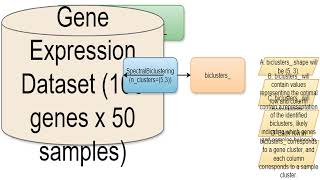 Sklearn cluster SpectralBiclustering