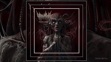 ABDUCTIONS - "Tentacles of Terror" (Black Death Metal 2025 LP)