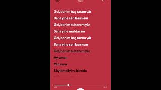 Yaşar Di̇vane