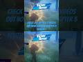 New 2 Fortnite Videos Out Now more Coming soon 🎮❤️🔥#fortnitechapter5season1 #victoryroyale #ggs