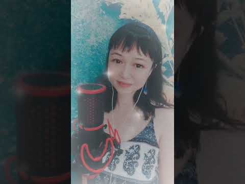 《难得有情人》关淑怡，翻唱