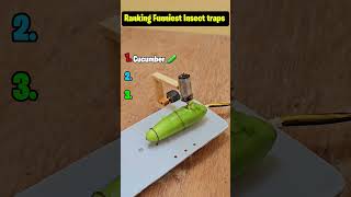 Ranking Funniest Insect traps! 😂🦎