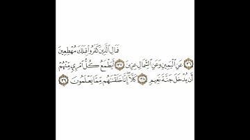 سورة المعارج 5 القسم الخامس تكرار كيفي من .. فمال الذين كفروا  .. إلى .. كلا إنا خلقناهم مما يعلمون