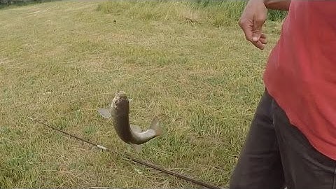 GoPro HERO4 | Fishing