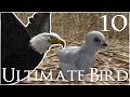 Our Baby Eaglet Hatches!! 🐦 Ultimate Bird Simulator - Episode #10