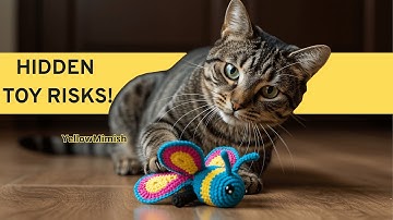 Are crochet cat toys safe #cats #yellowmimish #shorts @Cat