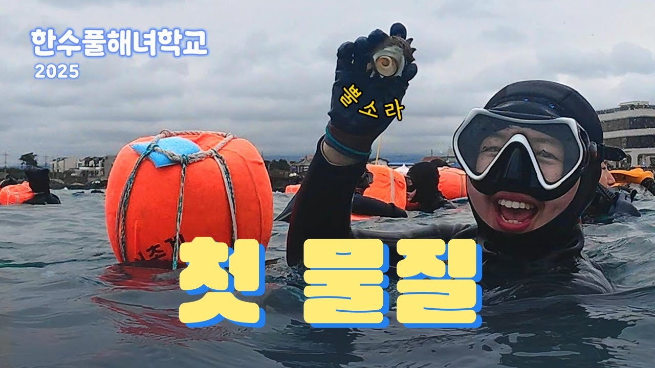 드디어 첫 바다 입수🌊 첫 물질에 뿔소라, 해삼 따고 회식까지 한 해녀학교의 하루