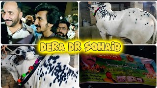 GRAND OPENING OF DERA DR SOHAIB ♥️ |BOHAT MAZA AYA 😃|BAIL MACHAR GAYA 😱😯|VLOG PART 47