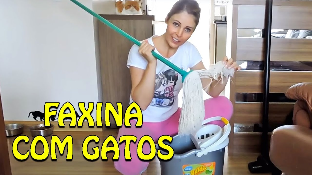 Como eu limpo a casa com vários gatos - Gatil Hauser