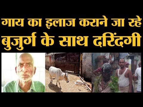 गाय के चक्कर में Mob lynching का शिकार होने से बचा ये बुजुर्ग मुस्लिम नहीं है | The Lallantop