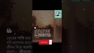 নিশ্চয়ই ঘুম অপেক্ষা নামাজ উত্তমviralislamicshorts