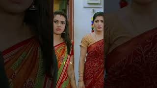 Pandavar Illam Sun Tv