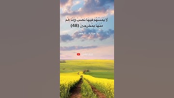 إن المتقين في جنات وعيون ، هزاع البلوشي سورة الحجر ، #هزاع_البلوشي #سورة_الحجر #shortvideo