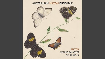 String Quartet in D Major, Hob.III:34, Op.20 No.4: 3. Menuet alla zingarese