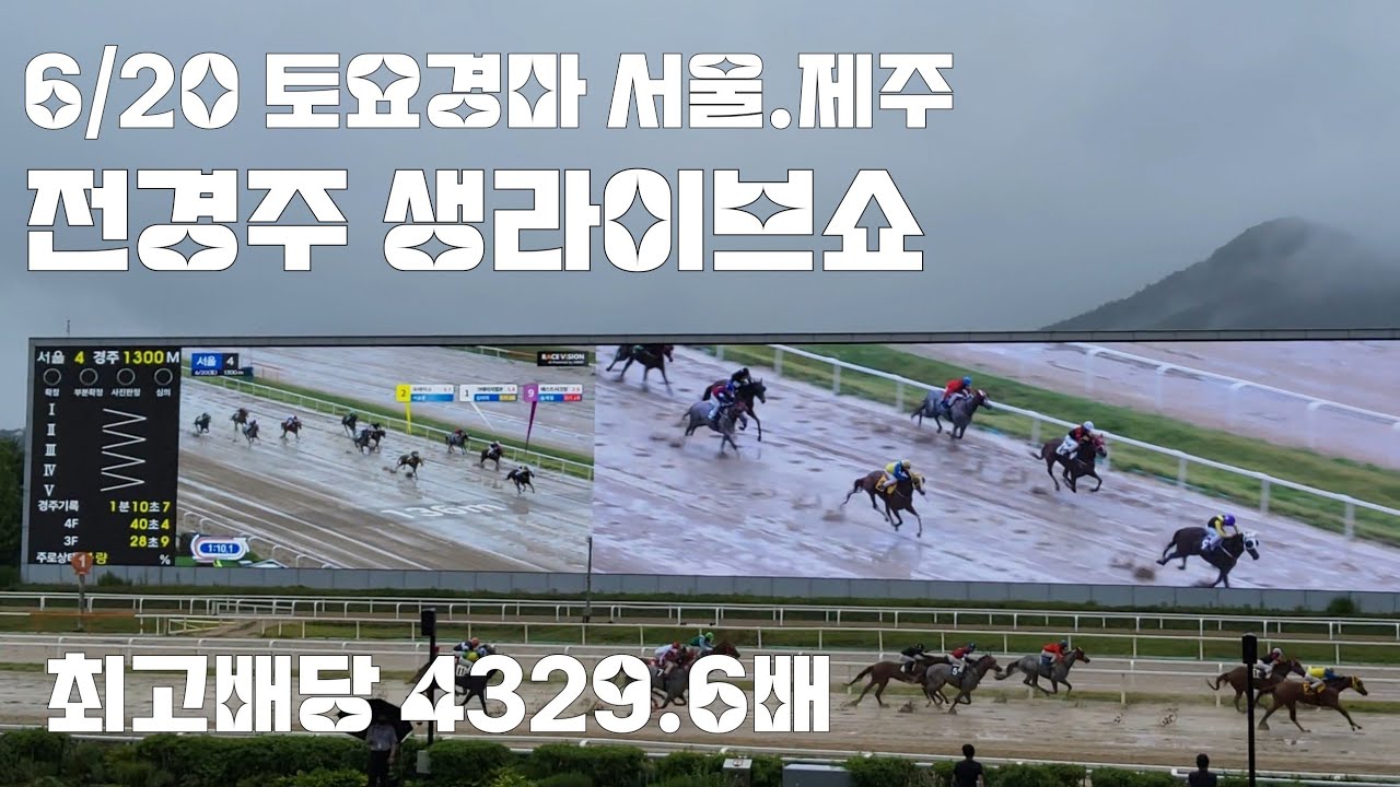 토요경마 비는 하루종일 내리고 경주로는 물탕주로 배당은 빵빵하게 터졌다!