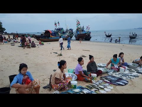 ตลาดปลาแบกับดิน ตลาดปลาโบซิก หาดมอมะกัน ทวาย พม่า fisherman village monning market Dawei Myanmar