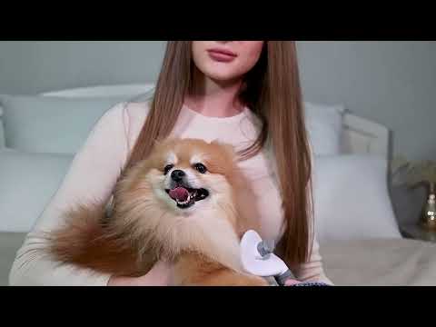 Щітка пуходерка для вичісування шерсті з кнопкою самоочищення (10.5 см) Grey, видео 1