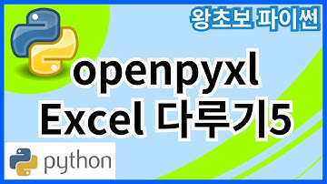 왕초보 파이썬(Python) 54. Openpyxl 엑셀다루기5