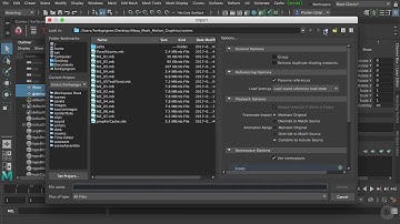 13   Caching Alembic Files