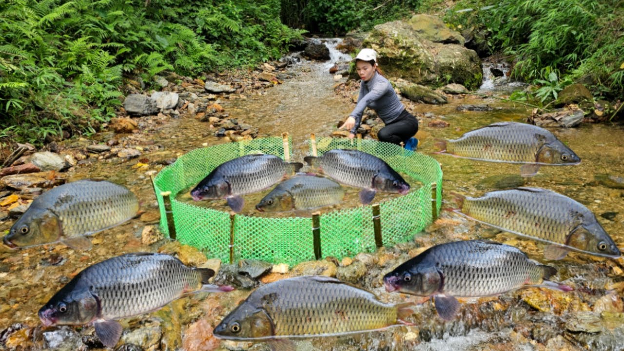 The girl's superb fishing skills helped her catch a lot of big fish ...