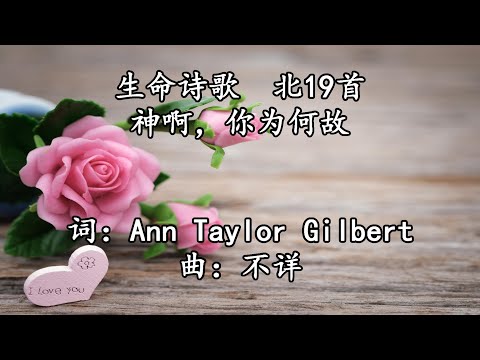生命诗歌 北019 大018 神啊，你为何故 2