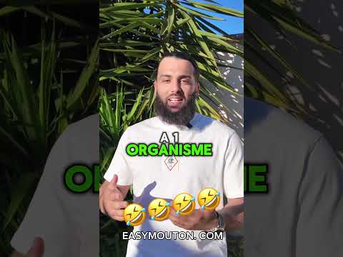 🐑 ✨ L’Aïd approche… votre sacrifice par procuration simplement et sérieusement 🤍easymouton.com