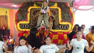KESENIAN KUDA KENCAK BINTANG BUDAYA LIVE PEDAGANGAN KEDIAMAN ALEX PUTRA || Rendyshoting