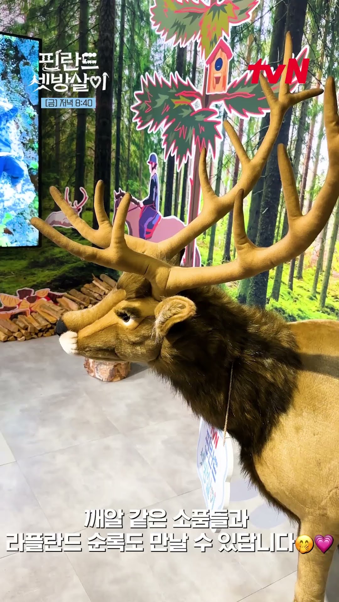 A place where you can take a picture with everyone!? ? #RentedInFinland EP.1