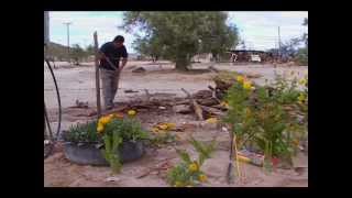 TOXIC WASTE IN PAPAGO TERRITORY (17 min. / 2006 / Mexico / ST English)