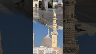 Ziyarah Rasulullah SAW | Masjidil Nabawi | Madinah | القبة الخضراء | في زيارة المسجد النبوي