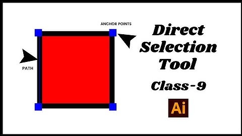 How To Use Direct Selection Tool In Adobe 
