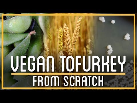Thanksgiving Tofurkey From Scratch | How to Make Everything