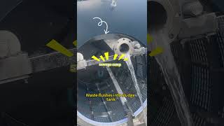 Why Modern Fish Farms Use Rotary Drum Filters?