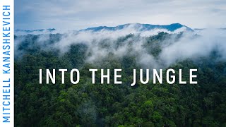 Into The Peruvian Jungle - 𝗖𝗶𝗻𝗲𝗺𝗮𝘁𝗶𝗰 𝗩𝗟𝗢𝗚