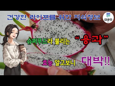 [이바우헬스] 슈퍼푸드라 불리는 용과의 효능 알고보니 대박(효능과 먹는방법)