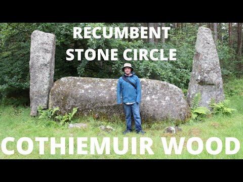 Cothiemuir Wood Recumbent