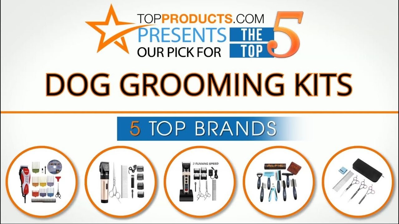 Best Dog Grooming Kit Reviews How to Choose the Best Dog Grooming Kit
